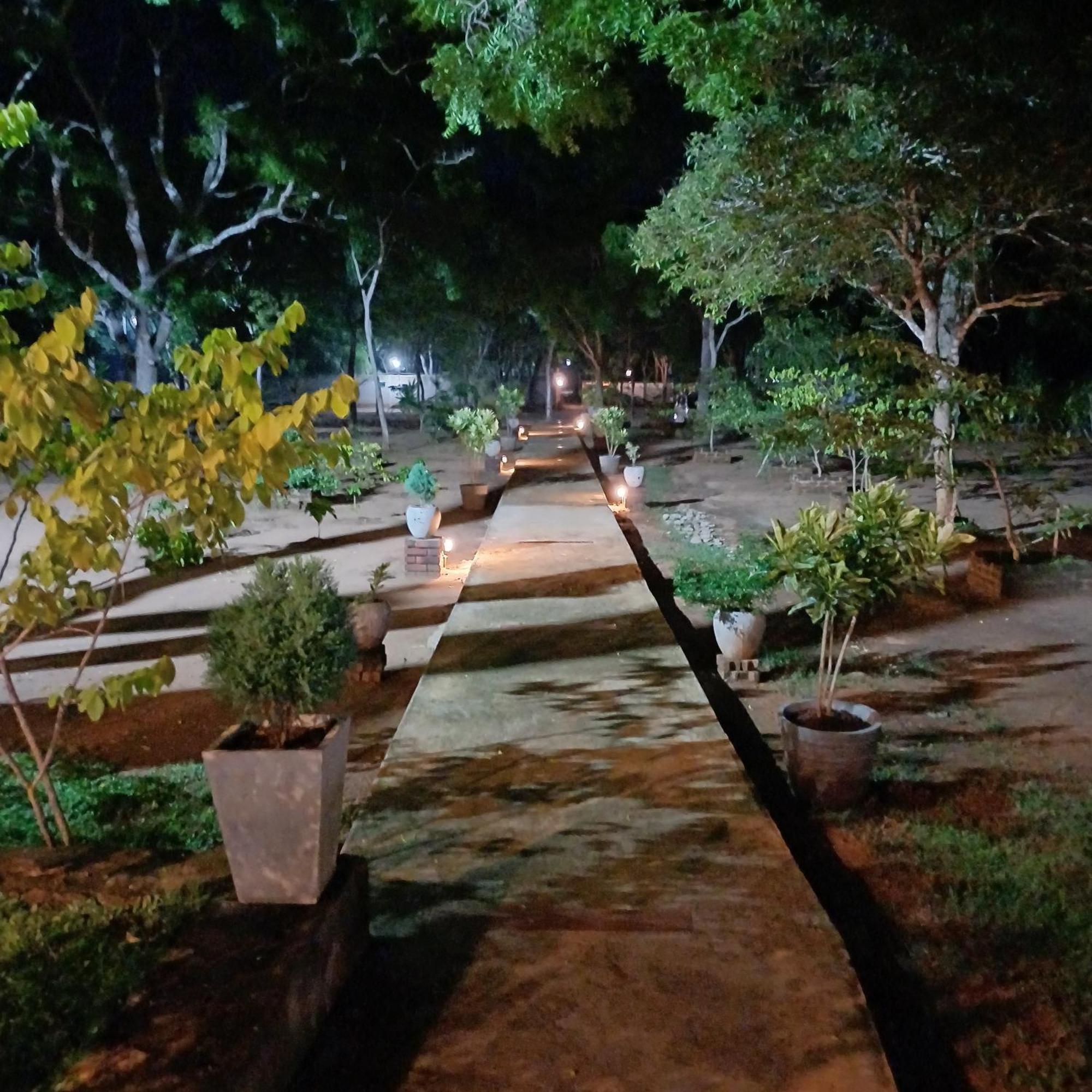 Forest Edge Villa Anuradhapura Eksteriør billede