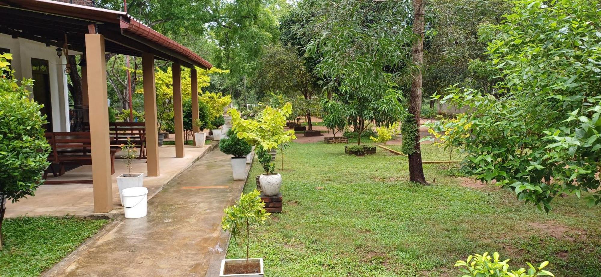 Forest Edge Villa Anuradhapura Eksteriør billede